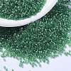 MIYUKI Delica Beads X-SEED-J020-DB1889-1
