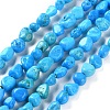 Natural Howlite Turquoise Beads Strands G-P497-01C-55-1