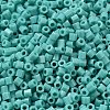 Opaque Glass Seed Beads SEED-S042-22B-04-3