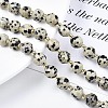 Natural Dalmatian Jasper Beads Strands X-G-N326-100-02-4