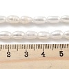 Natural Cultured Freshwater Pearl Beads Strands PEAR-P062-06F-5