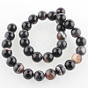 Natural Banded Agate Round Bead Strands G-E235-02-2