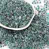 Transparent Inside Colours Glass Seed Beads SEED-A032-04W-1