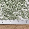 MIYUKI Delica Beads SEED-J020-DB2378-4