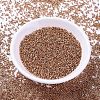 MIYUKI Delica Beads SEED-J020-DB1836-2