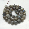 Natural Labradorite Beads Strands X-G-G212-6mm-23-2