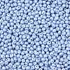 6/0 Glass Seed Beads SEED-L011-08A-23-3