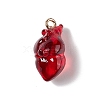 Transparent Resin Pendants RESI-E028-01G-M-3