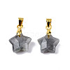 Natural Labradorite Charms G-N326-142-06-1