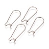 Tarnish Resistant 304 Stainless Steel Hoop Earrings Findings Kidney Ear Wires LS-STAS-L216-22B-P-1