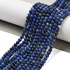 Natural Sodalite Beads Strands G-G143-A03-01-2