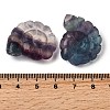 Natural Fluorite Pendants G-NH0065-01H-3