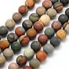 Frosted Round Natural Polychrome Agate Beads Strands G-N0166-67-8mm-1