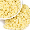 Opaque Baking Paint Glass Seed Beads SEED-T008-02B-1