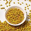 6/0 Opaque Colours Seep Glass Seed Beads X-SEED-F003-04A-01-2