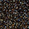 MIYUKI Round Rocailles Beads SEED-JP0009-RR0349-3
