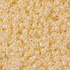TOHO 8/0 Round Beads SEED-XTR08-0901-2