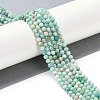 Natural Amazonite Beads Strands X-G-G139-A15-03-2