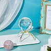 Alloy Display Holder ODIS-WH0081-06G-4