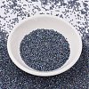 MIYUKI Delica Beads SEED-X0054-DB0086-2