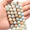 Natural Flower Amazonite Beads Strands G-G692-01F-10mm-5