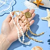 2 Strands 2 Colors Natural Shell Beads Strands SHEL-CJ0001-35-4
