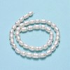 Natural Cultured Freshwater Pearl Beads Strands PEAR-J006-19A-01-3