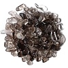 Natural  Smoky Quartz Tumbled Chips PW-WGA7DCE-22-1