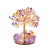 Natural Ametrine Display Decorations PW-WG5C4DA-06-1