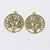 Tibetan Style Zinc Alloy Pendants TIBEP-EA11591YKG-AB-FF-1