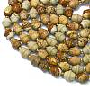 Natural Picture Jasper Beads Strands G-K389-D28-01-3