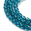 Transparent Glass Beads Strands GLAA-C019-01B-34-4