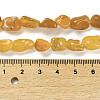 Natural Gemstone Beads Strands G-P497-01E-14-5