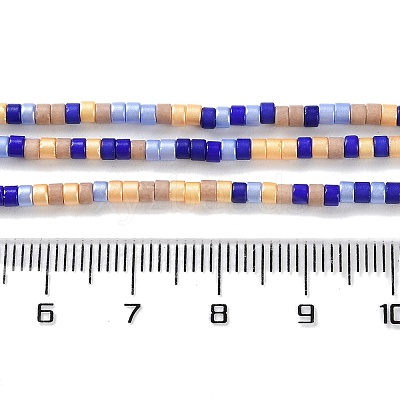 Handmade Lampwork Beads Strands LAMP-L078-008G-1