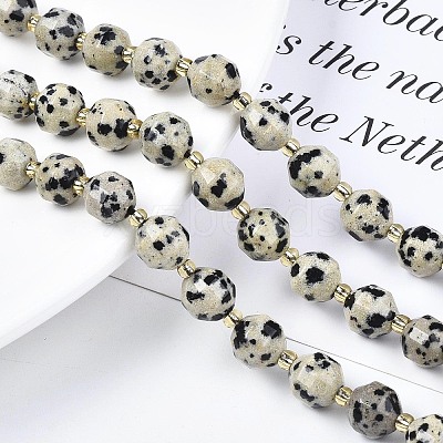 Natural Dalmatian Jasper Beads Strands X-G-N326-100-02-1