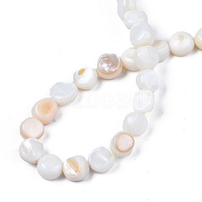 Natural Trochid Shell/Trochus Shell Beads Strands SHEL-S258-083-A01-1