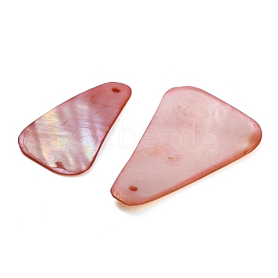 Dyed Natural Shell Pendants SHEL-C010-13A-1