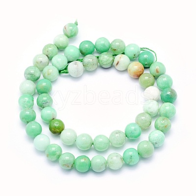Natural Chrysoprase Beads Strands G-O166-03-10mm-1