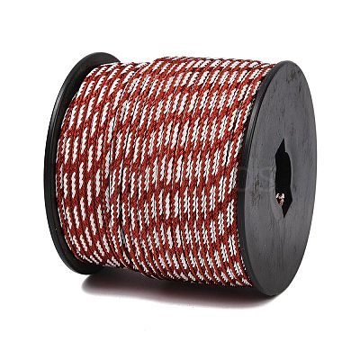 40M Nylon Coated 304 Stainless Steel Braided Wires TWIR-P002-01B-02-1