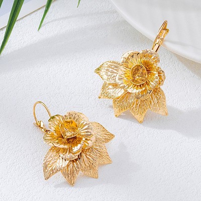 Alloy Dangle Earrings for Women WGBE734-01-1