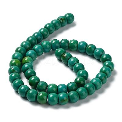 Natural Howlite Beads Strands G-E604-F02-A-1