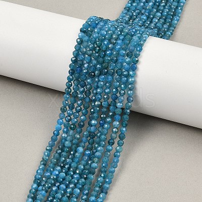 Natural Apatite Beads Strands G-E411-36-3mm-01-1
