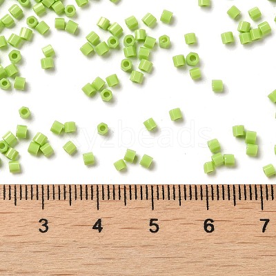 Opaque Glass Seed Beads SEED-S042-22B-03-1