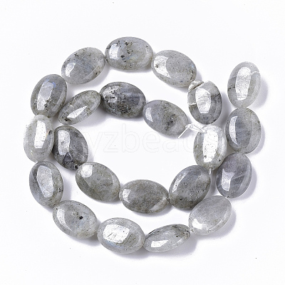 Natural Labradorite Beads Strands X-G-S359-001B-1