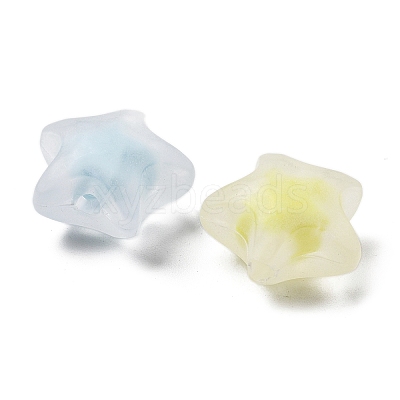 Frosted Transparent Acrylic Beads OACR-A032-13C-1