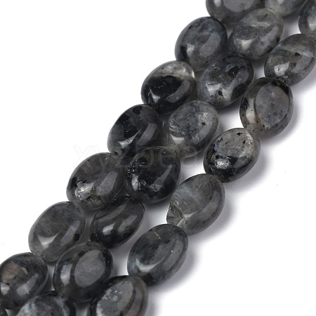 Natural Black Larvikite Beads Strands G-Z006-A03-1