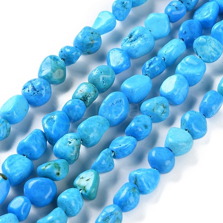 Natural Howlite Turquoise Beads Strands G-P497-01C-55-1