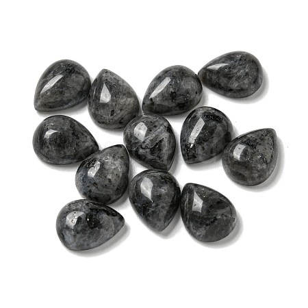 Natural Larvikite Cabochons G-Q173-02C-05-1