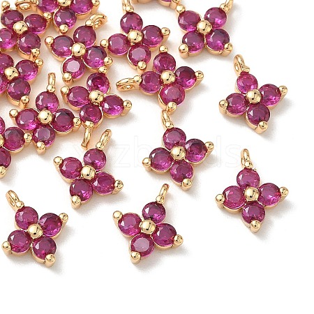 SHEGRACE Brass Cubic Zirconia Charms XGRQ4H893-680G-C-1