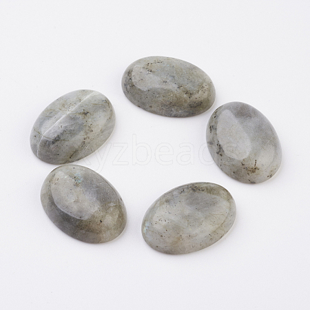 Natural Labradorite Flat Back Cabochons X-G-G741-13x18mm-18-1